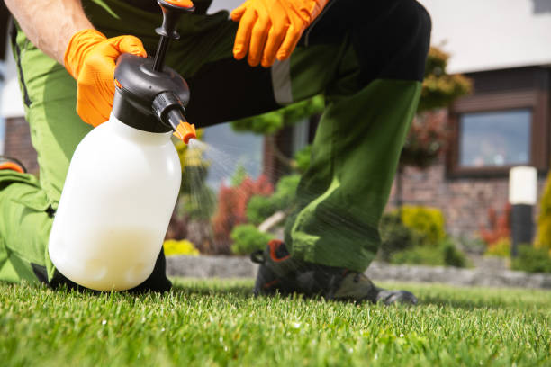 Best Emergency Pest Control  in Lake Belvedere Estates, FL
