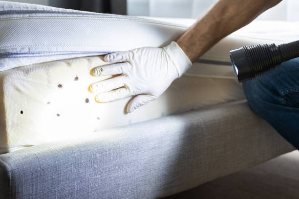 Best Pest Inspection Near Me  in Lake Belvedere Estates, FL