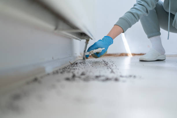 Reliable Lake Belvedere Estates, FL Pest Control Solutions